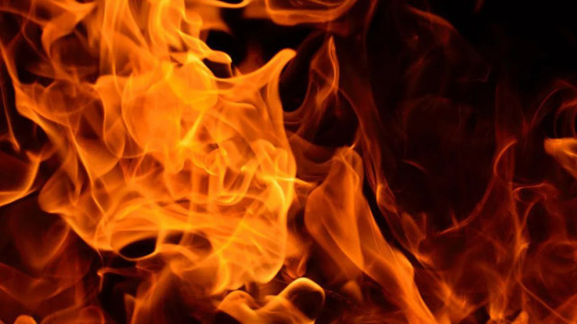 Над 120 кошера изгоряха при пожар край руенското село Преображенци