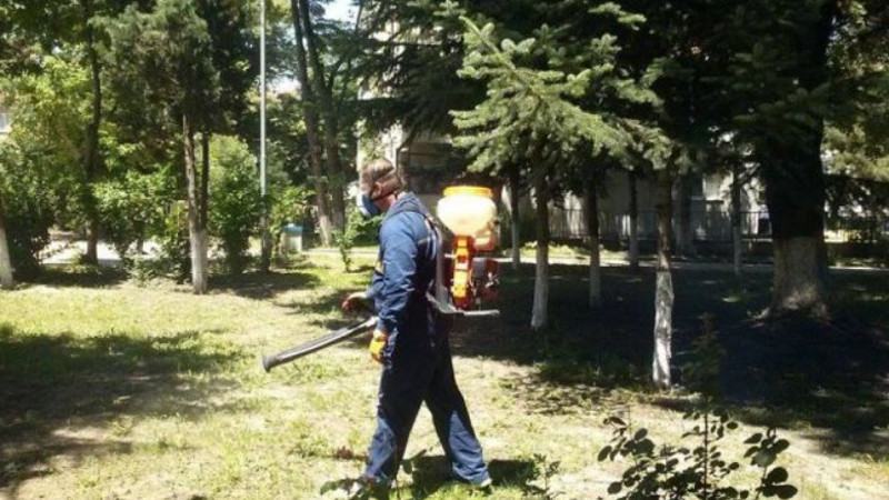 Продължават обработките срещу вредители във Варна