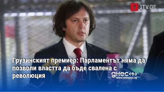 Грузинският премиер: Парламентът няма да позволи властта да бъде свалена с революция