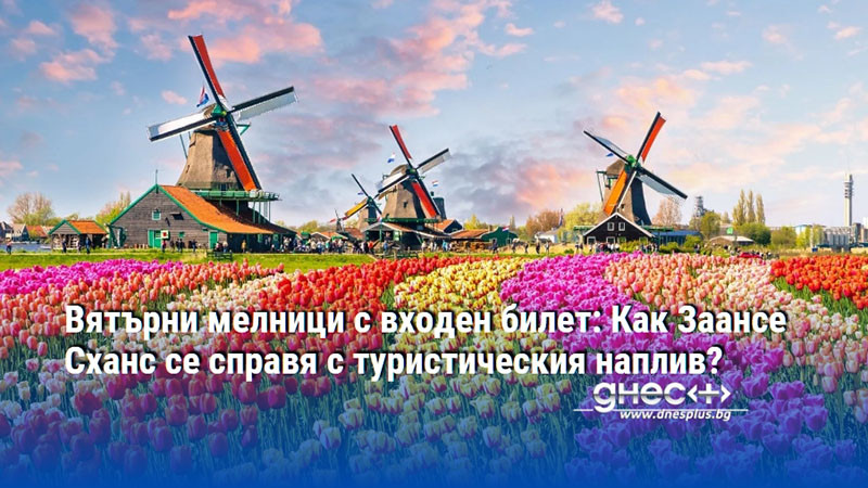 Вятърни мелници с входен билет: Как Заансе Сханс се справя с туристическия наплив?