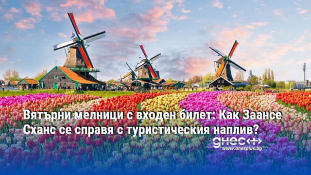 Вятърни мелници с входен билет: Как Заансе Сханс се справя с туристическия наплив?