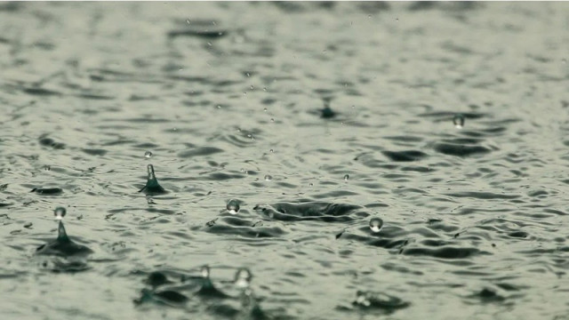 9 души, включително дете, загинаха вследствие на проливния дъжд в Одеса