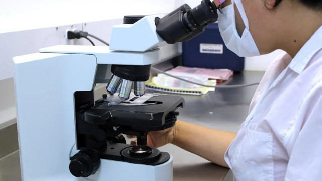 Учени създадоха яйцеклетка от човешки кожни клетки, която може да се оплоди