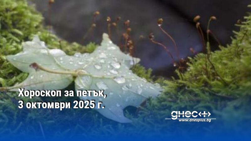Хороскоп за петък, 3 октомври 2025 г.