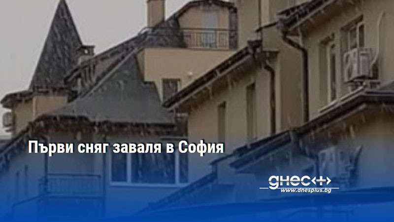 Първи сняг заваля в София
