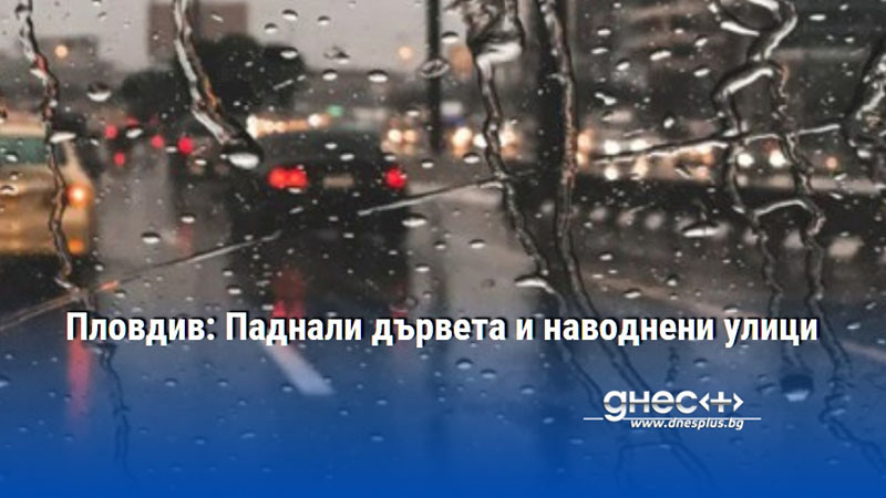 Пловдив: Паднали дървета и наводнени улици
