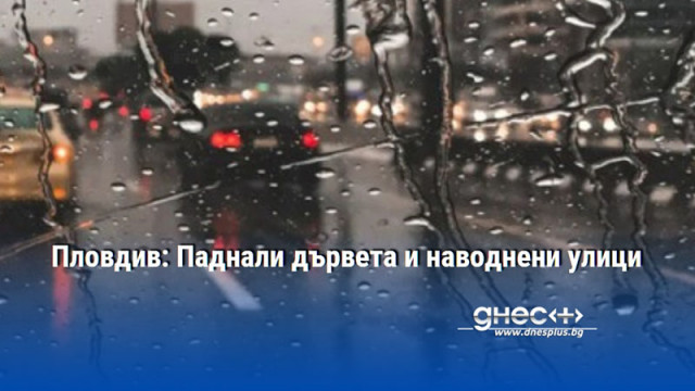 Пловдив: Паднали дървета и наводнени улици