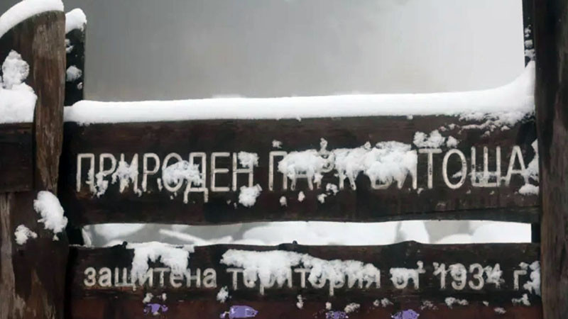 „За първи път и все пред хора“: Директорът на Столичният инспекторат правел интриги
