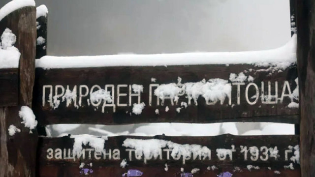 „За първи път и все пред хора“: Директорът на Столичният инспекторат правел интриги
