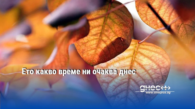 Ето какво време ни очаква днес