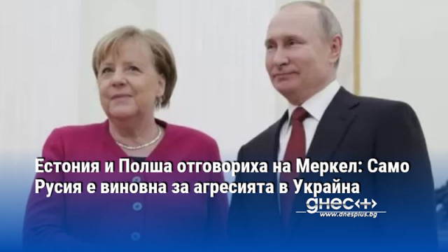 Естония и Полша отговориха на Меркел: Само Русия е виновна за агресията в Украйна