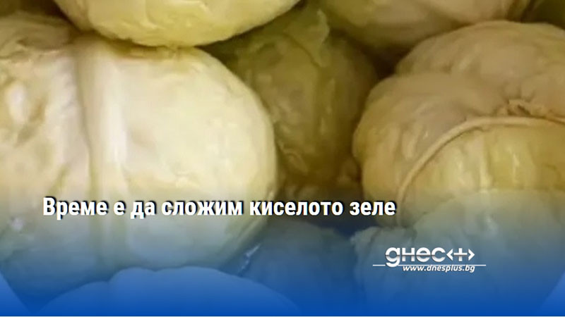 Време е да сложим киселото зеле