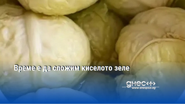 Време е да сложим киселото зеле