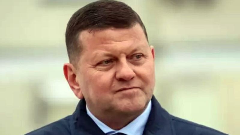 Залужни отрича твърденията, че има президентски амбиции