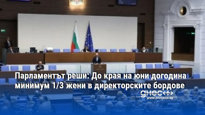 Парламентът реши: До края на юни догодина минимум 1/3 жени в директорските бордове