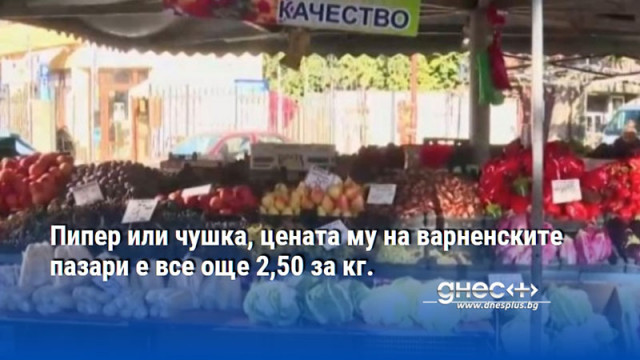Пипер или чушка, цената му на варненските пазари е все още 2,50 за кг.