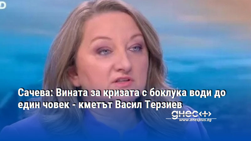 Сачева: Вината за кризата с боклука води до един човек - кметът Васил Терзиев