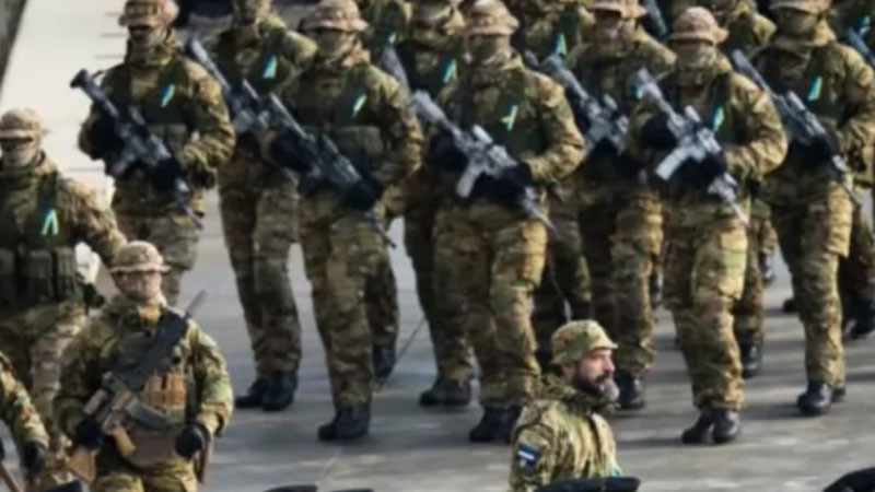 Reuters: Балтийските страни подготвят планове за евакуация поради заплахата от руска атака