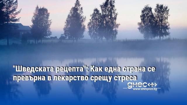 "Шведската рецепта": Как една страна се превърна в лекарство срещу стреса