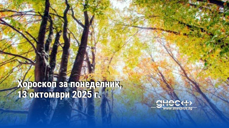Хороскоп за понеделник, 13 октомври 2025 г.