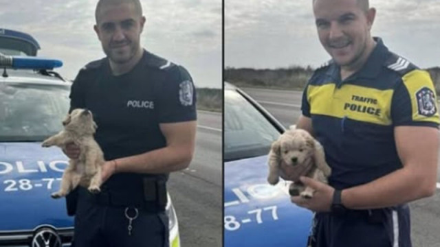 Полицаи спасиха изхвърлено и изплашено малко кученце в торба в канавка