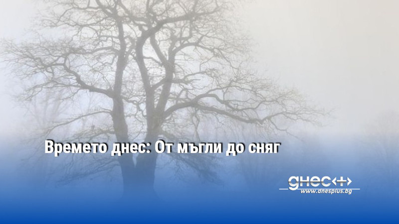 Времето днес: От мъгли до сняг