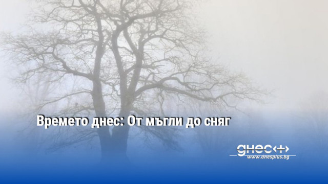 Времето днес: От мъгли до сняг