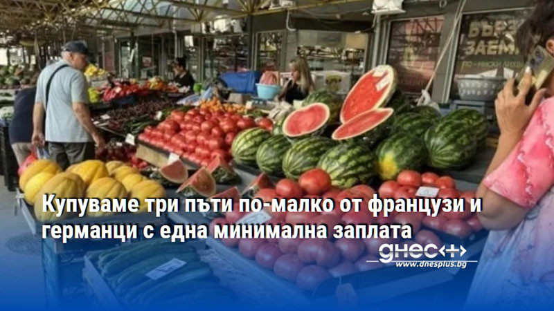 Купуваме три пъти по-малко от французи и германци с една минимална заплата