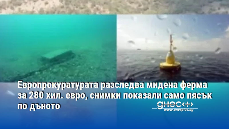 Европрокуратурата разследва мидена ферма за 280 хил. евро, снимки показали само пясък по дъното
