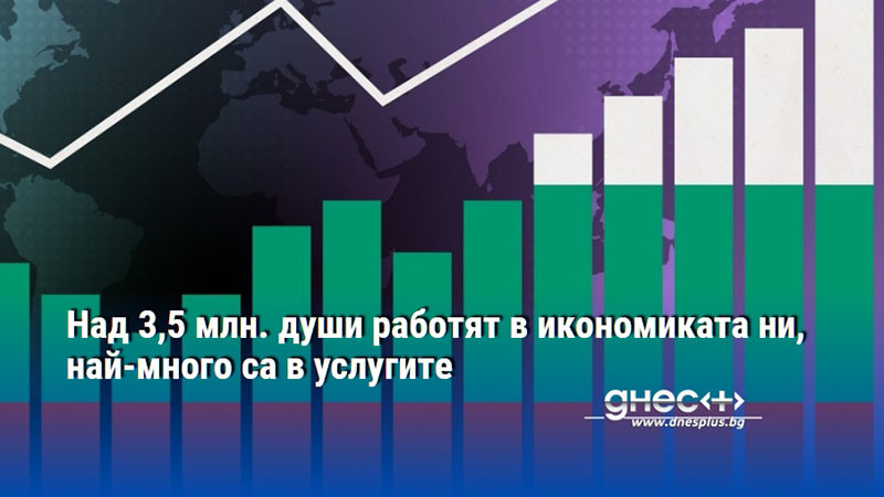 Над 3,5 млн. души работят в икономиката ни, най-много са в услугите