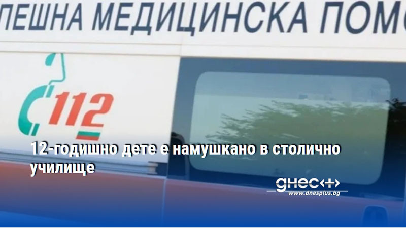 12-годишно дете е намушкано в столично училище
