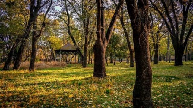 Отварят за граждани още 30 декара от парка на Военната академия в София