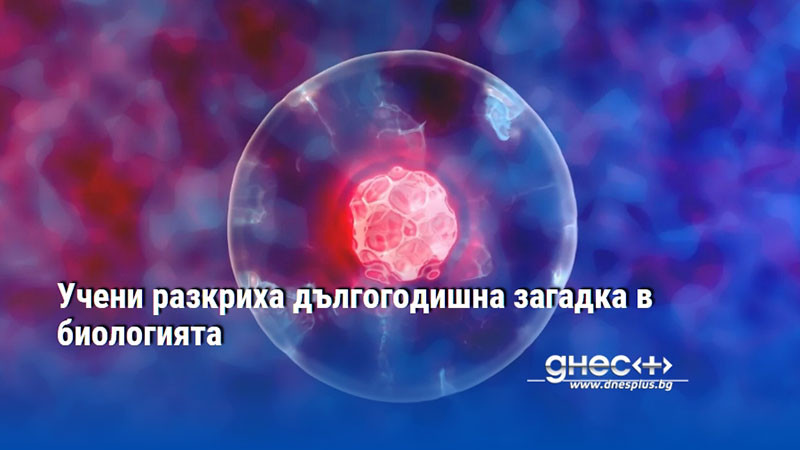Учени разкриха дългогодишна загадка в биологията