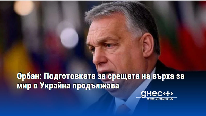 Орбан: Подготовката за срещата на върха за мир в Украйна продължава