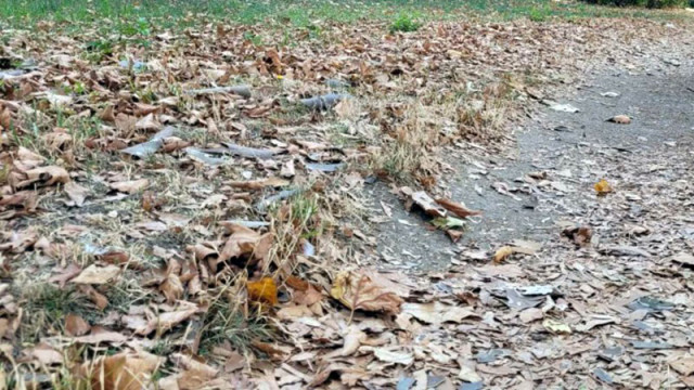 Сметопочистване и подготовка за зимния сезон: Варненските райони се готвят