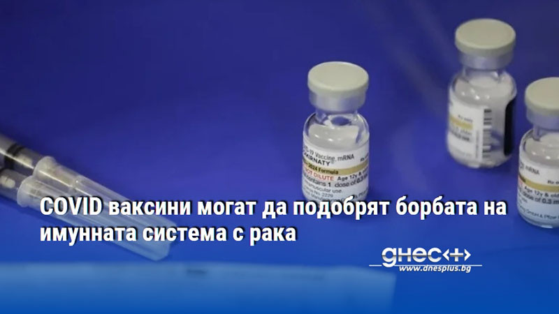 COVID ваксини могат да подобрят борбата на имунната система с рака