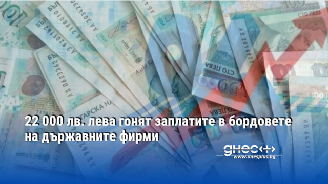 22 000 лв. лева гонят заплатите в бордовете на държавните фирми