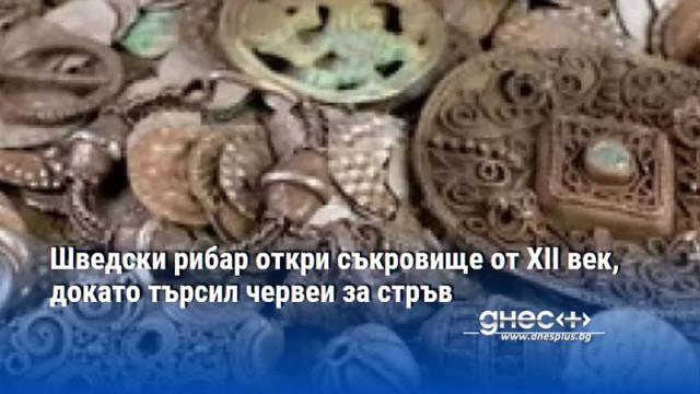 Шведски рибар откри съкровище от XII век, докато търсил червеи за стръв