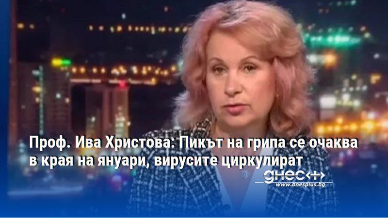 Проф. Ива Христова: Пикът на грипа се очаква в края на януари, вирусите циркулират