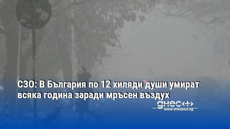 СЗО: В България по 12 хиляди души умират всяка година заради мръсен въздух