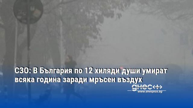 СЗО: В България по 12 хиляди души умират всяка година заради мръсен въздух