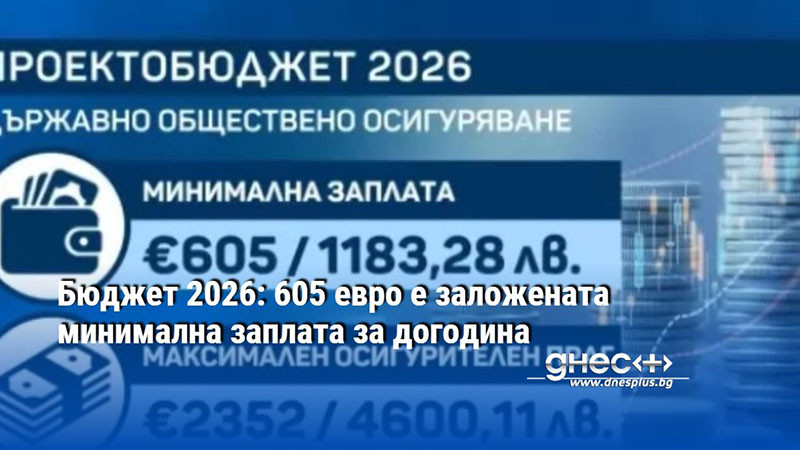 Бюджет 2026: 605 евро е заложената минимална заплата за догодина