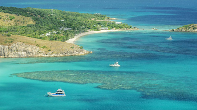 80-годишна жена, изоставена от круизен кораб на остров в Големия бариерен риф, е намерена мъртва