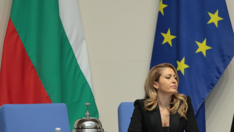 Обиди в парламента: "Копейкин" vs "анахронични сексуални особености"