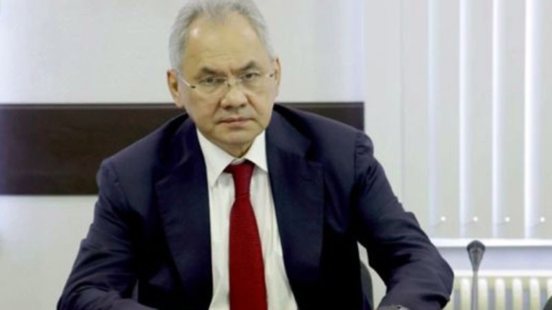 Шойгу подигра Запада с цитат от Пушкин: Защо ви е да сте свободни, стада, лишени от език