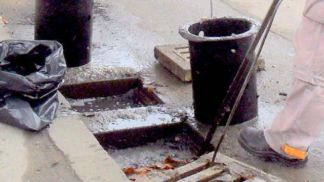 От понеделник ще започне дератизация на каналите във Варна