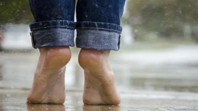 „Сиромашкото” лято отстъпва пред студент фронт