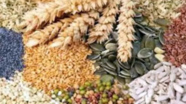 Китай: Чуждестранния шпионаж застрашава продоволствената сигурност на страната ни