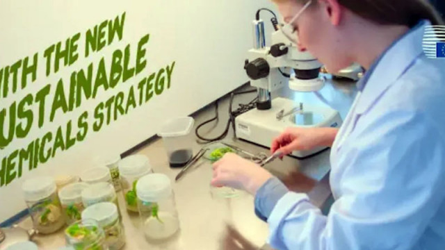 Нидерландия е изправена пред масово напускащи химически компании