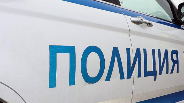 Повдигнаха обвинение на мъжа, ударил кмета на с. Дъскот